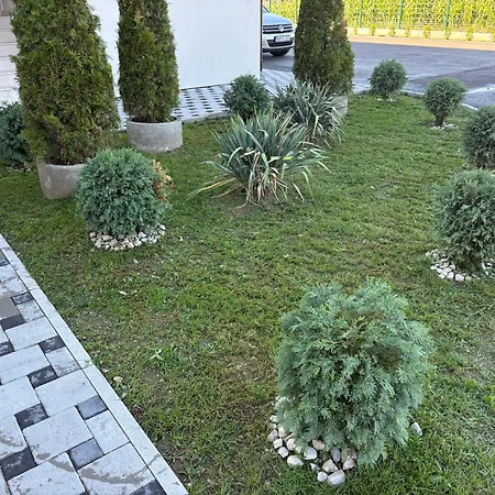 Camellia Apartment *